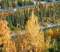 Denali Grizzly Bear Resort
